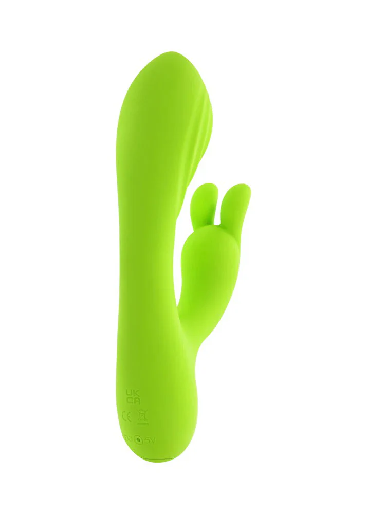 Evolved Brat Bunny Rabbit Vibe - Image 4