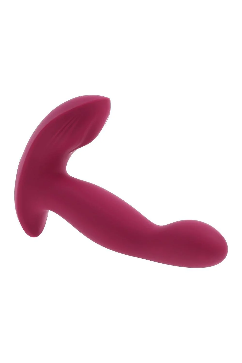 Evolved  Come On Over G Spot Vibe - Image 16