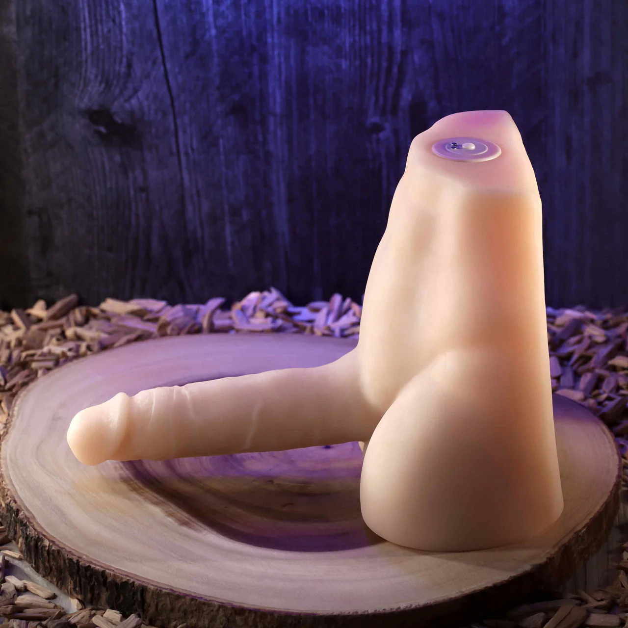 Evolved Easy Rider Light - Image 12