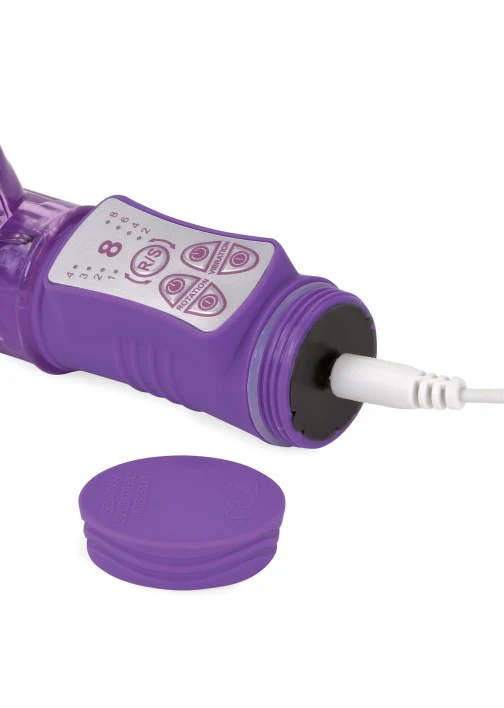 Adam & Eve - Eve's First Rechargeable Rabbit - Image 3