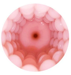 Lovense Max 2 Vagina Sleeve - Image 3